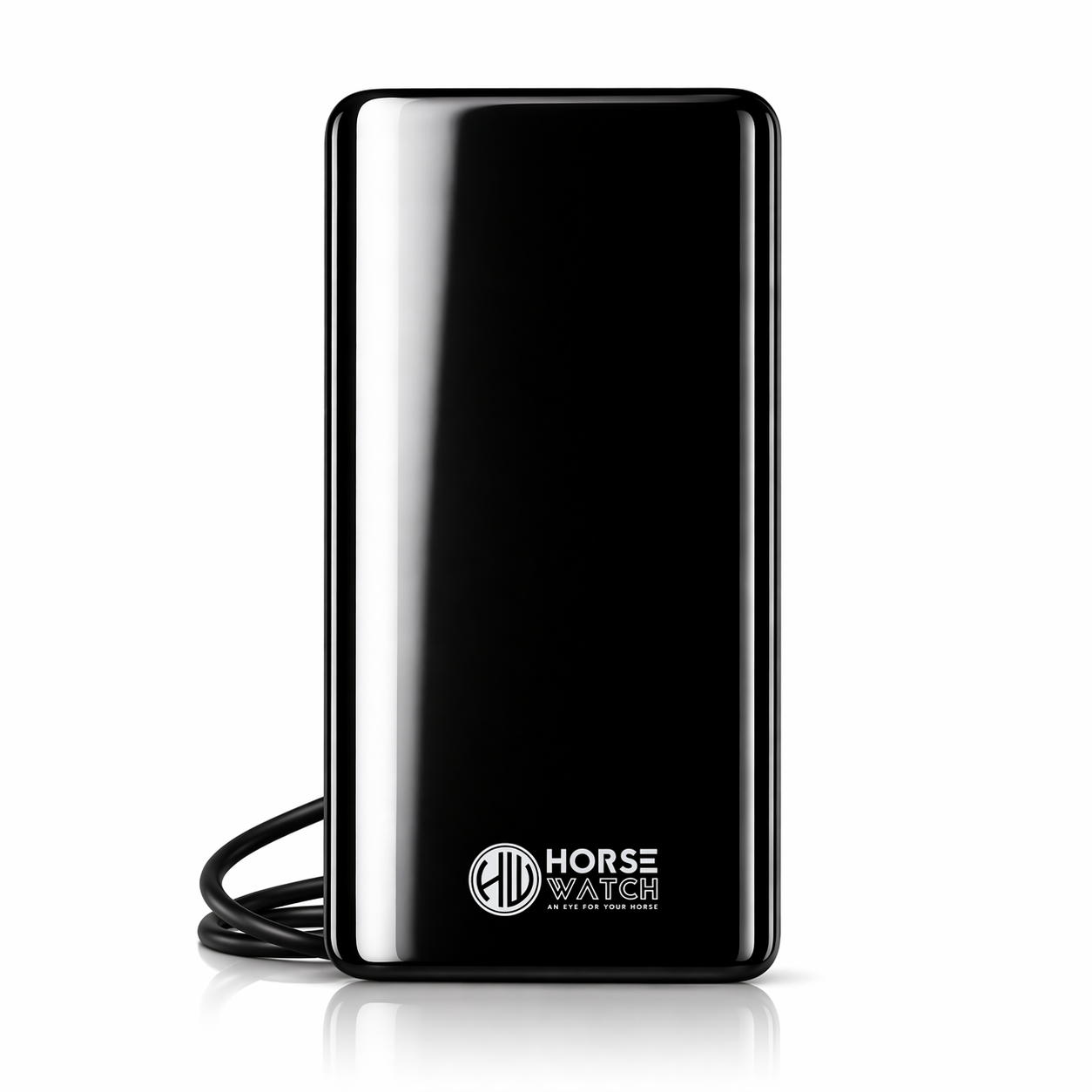 Powerbank 20.000 mAh